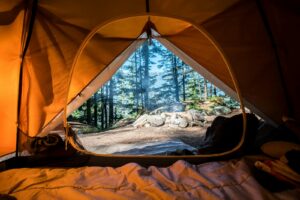 tente de camping orange près des arbres verts