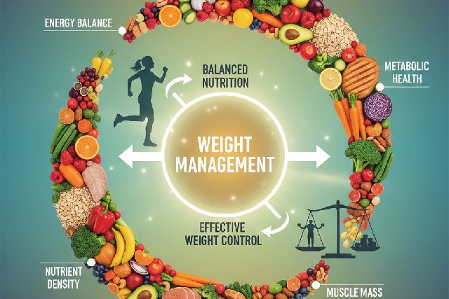 alimentation équilibrée